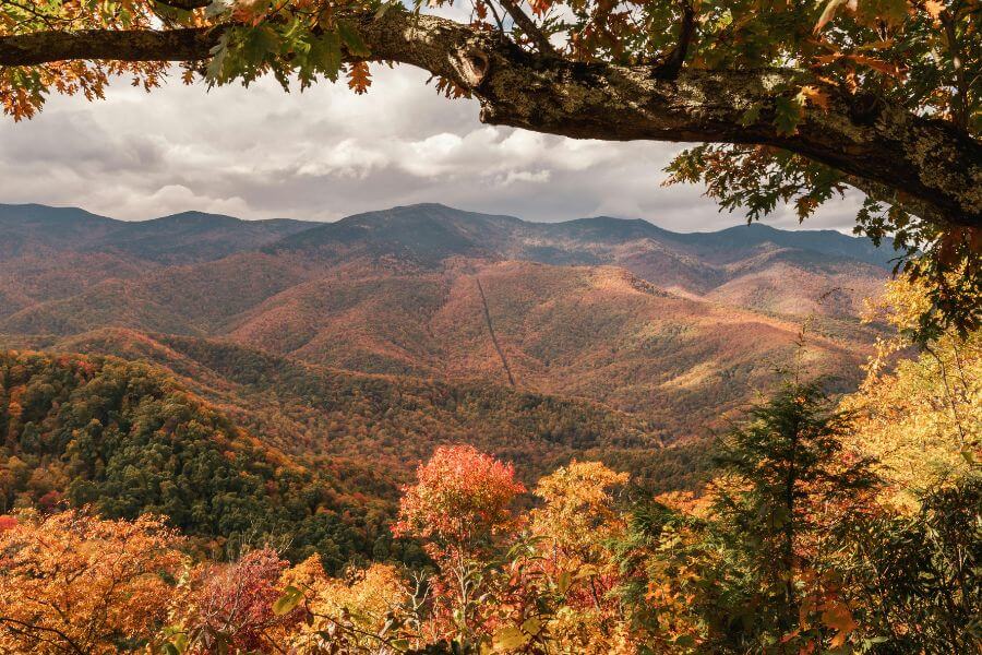 가을이 되면 귀농 생활의 리듬이 달라지는 이유