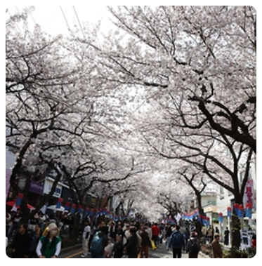 국내여행추천 04