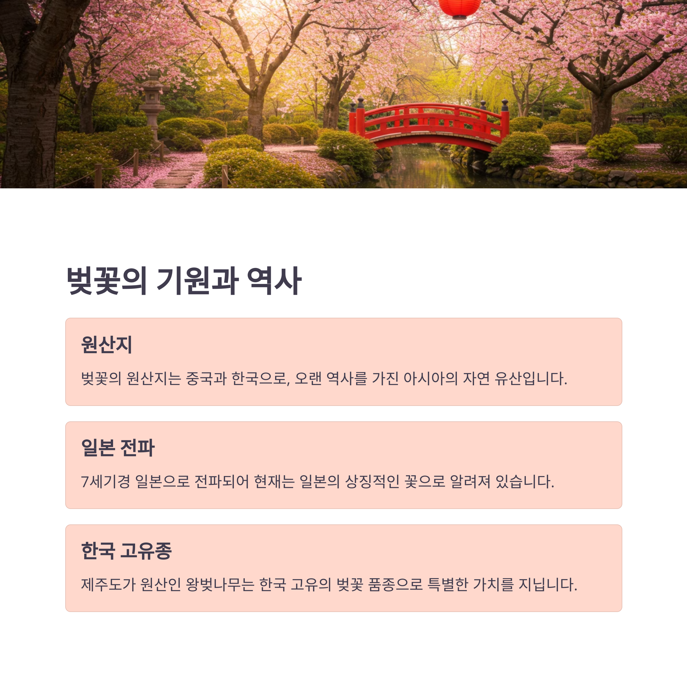 벚꽃의 기원과 역사