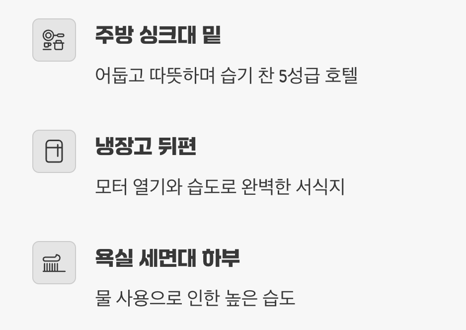 바퀴벌레의 펜트하우스, 숨겨진 아지트 찾기