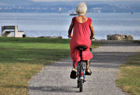 정확한 정보 확인 방법