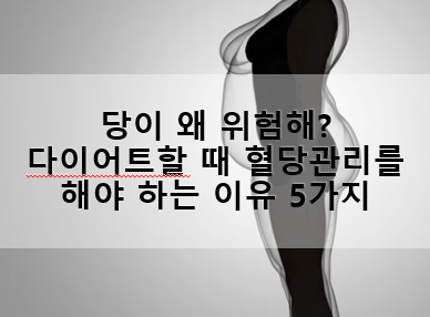 다이어트