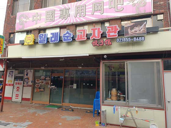 오늘N 격파 중식로드 중화 군만두