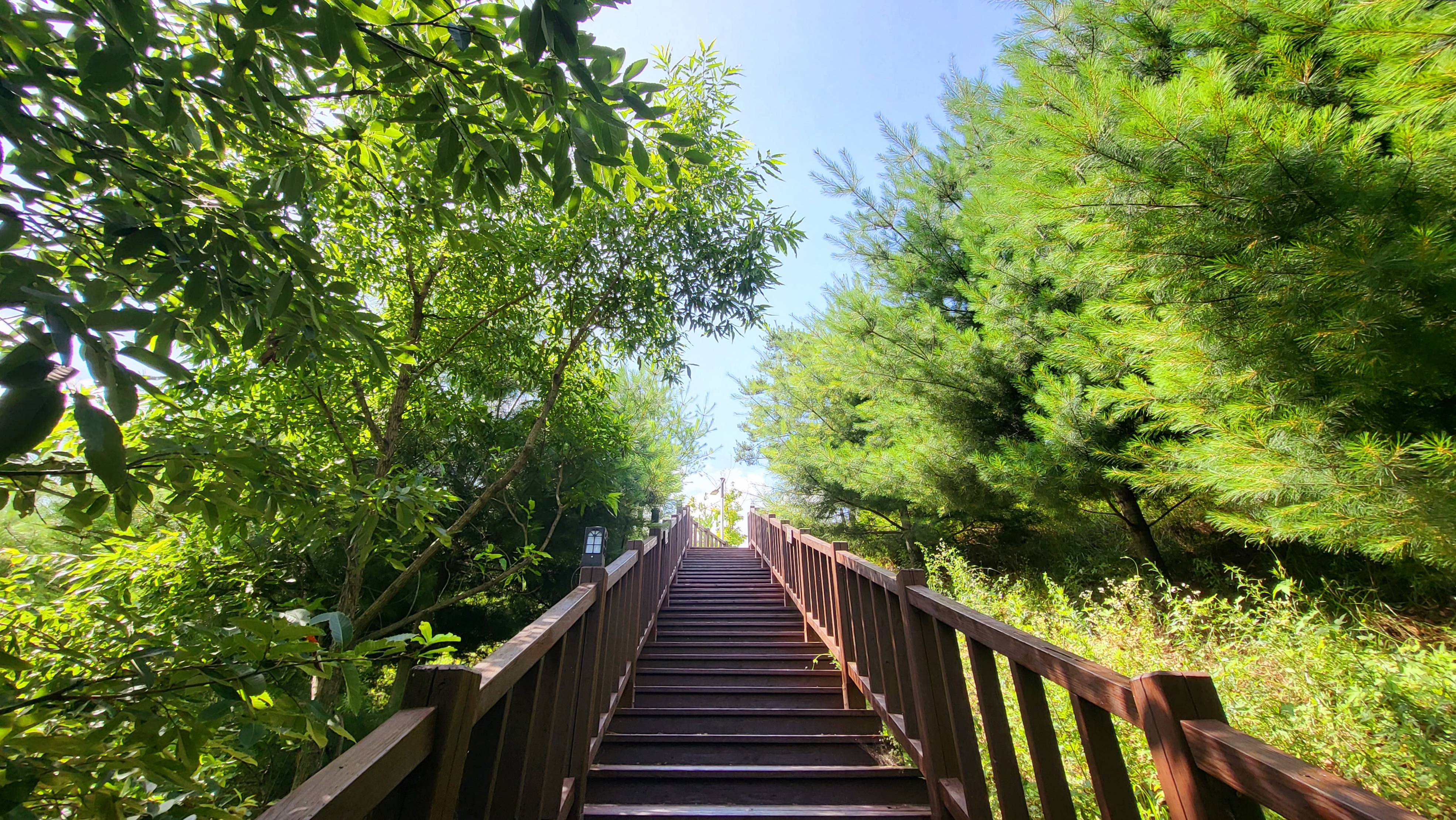 국립 산림 치유원 산책로