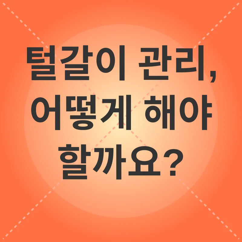 고양이 털갈이 관리_2