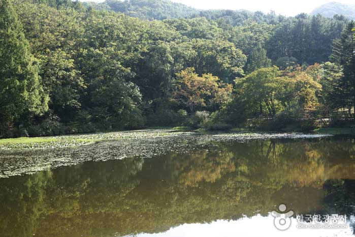 국립수목원 관련 사진첨부