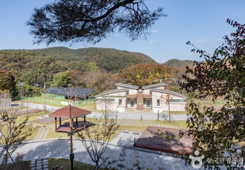 청주 가볼만한곳 베스트 10