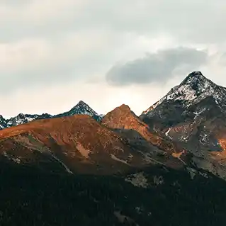 산불 재난폐기물