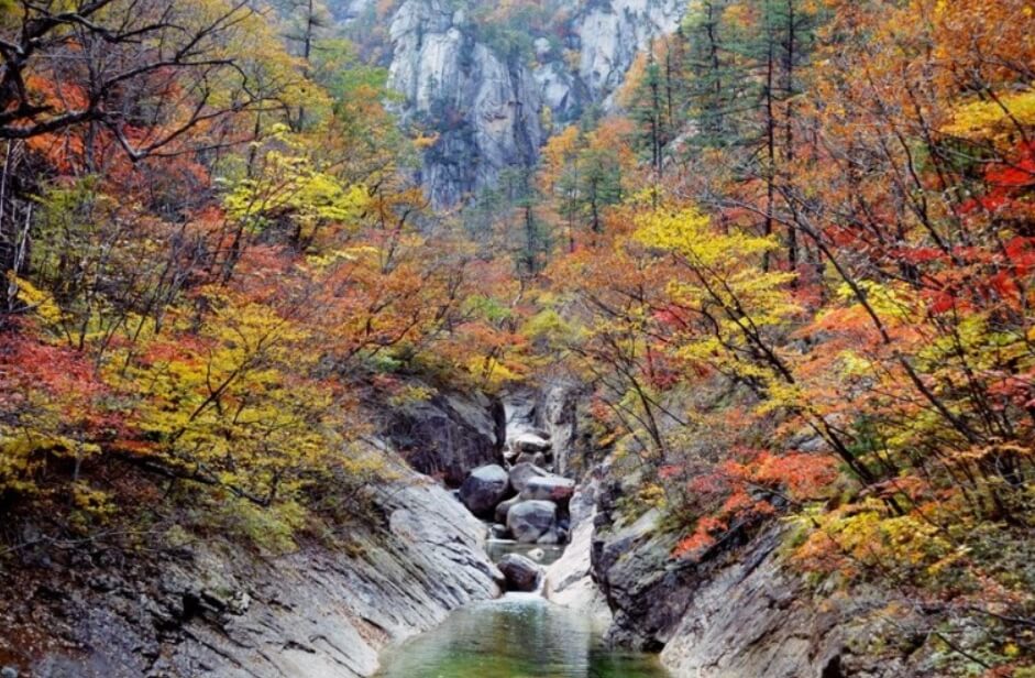 2024년 가을 단풍시기 (출처 : 한국관광공사)