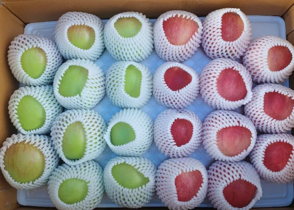 따봄농장
