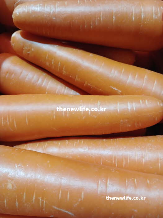 당근 효능 피부 미용에 좋은 알파카로틴