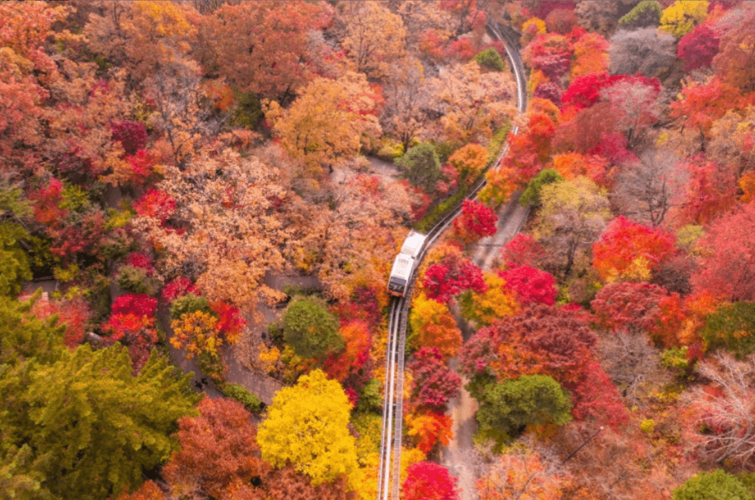 화담숲 - 예약 방법, 예약가능 시간대, 환불 방법