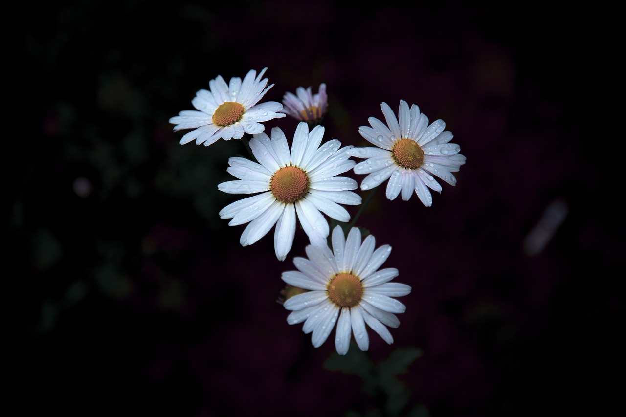 한국 불교 종파별 신도 수 변화