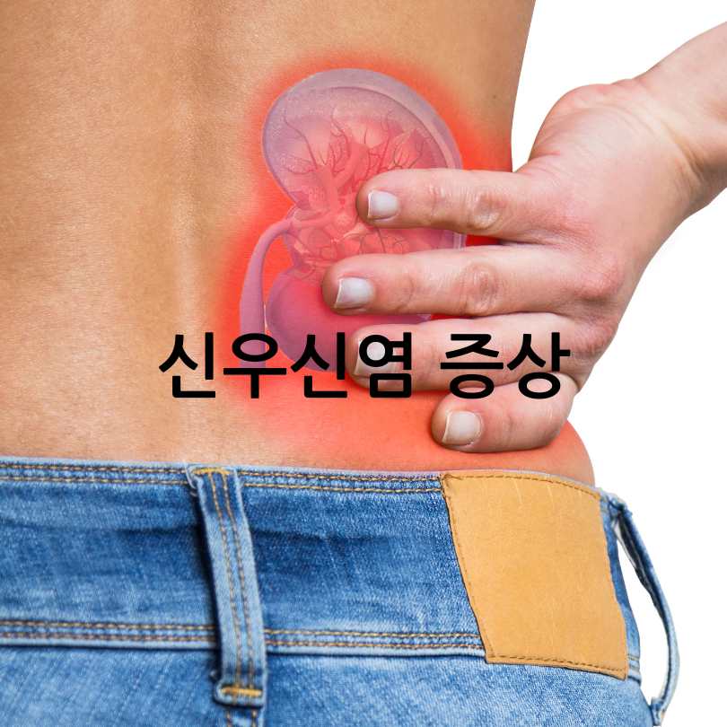 신우신염증상과 신장에 좋은 음식