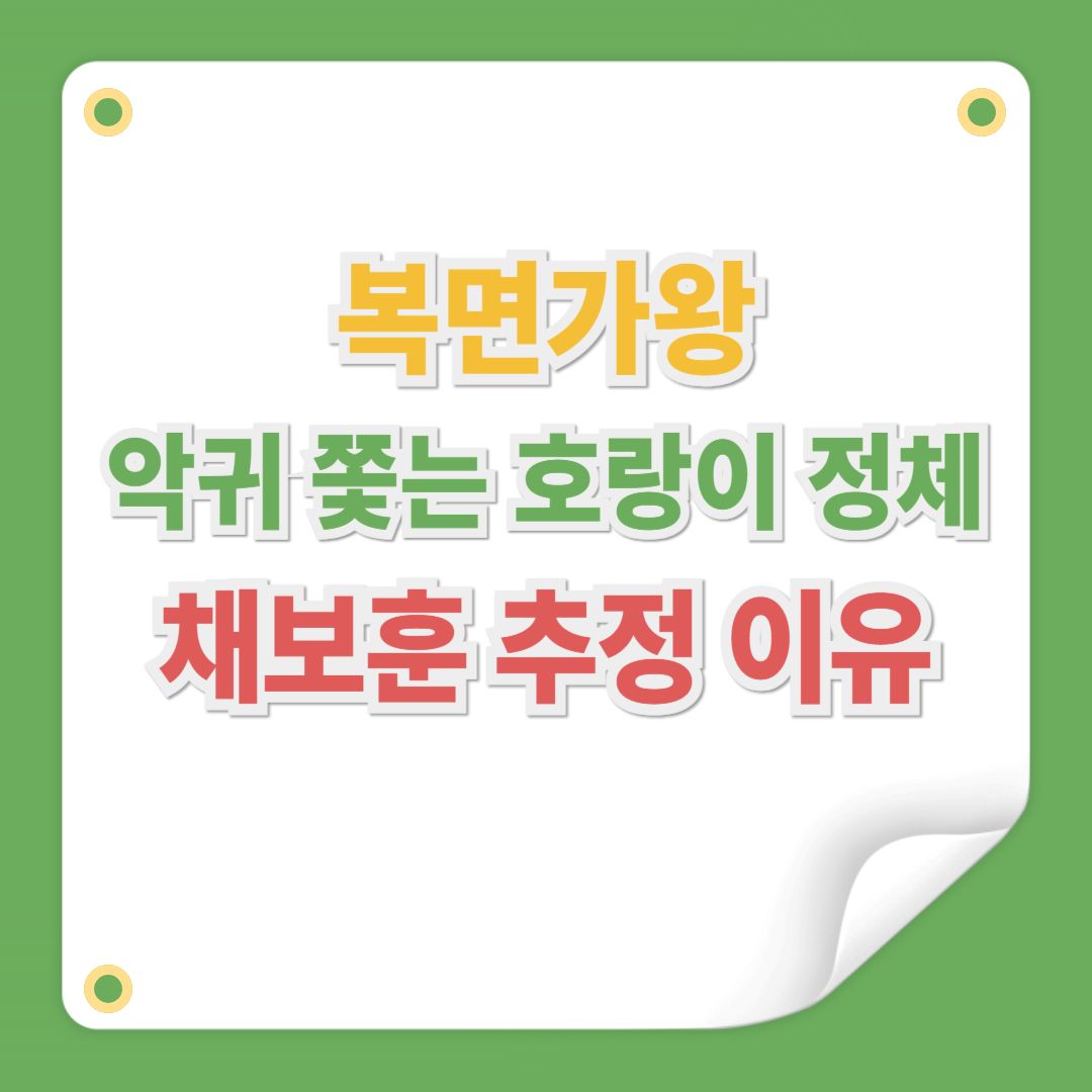 복면가왕 악귀 쫓는 호랑이 정체, 채보훈 추정 이유
