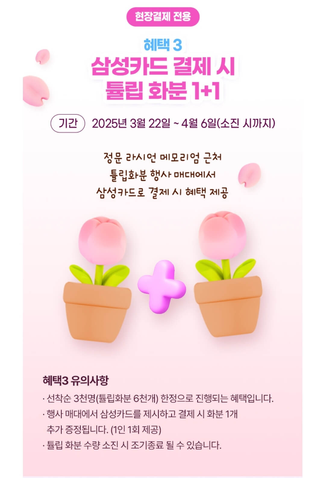 현장 발권 전용 혜택