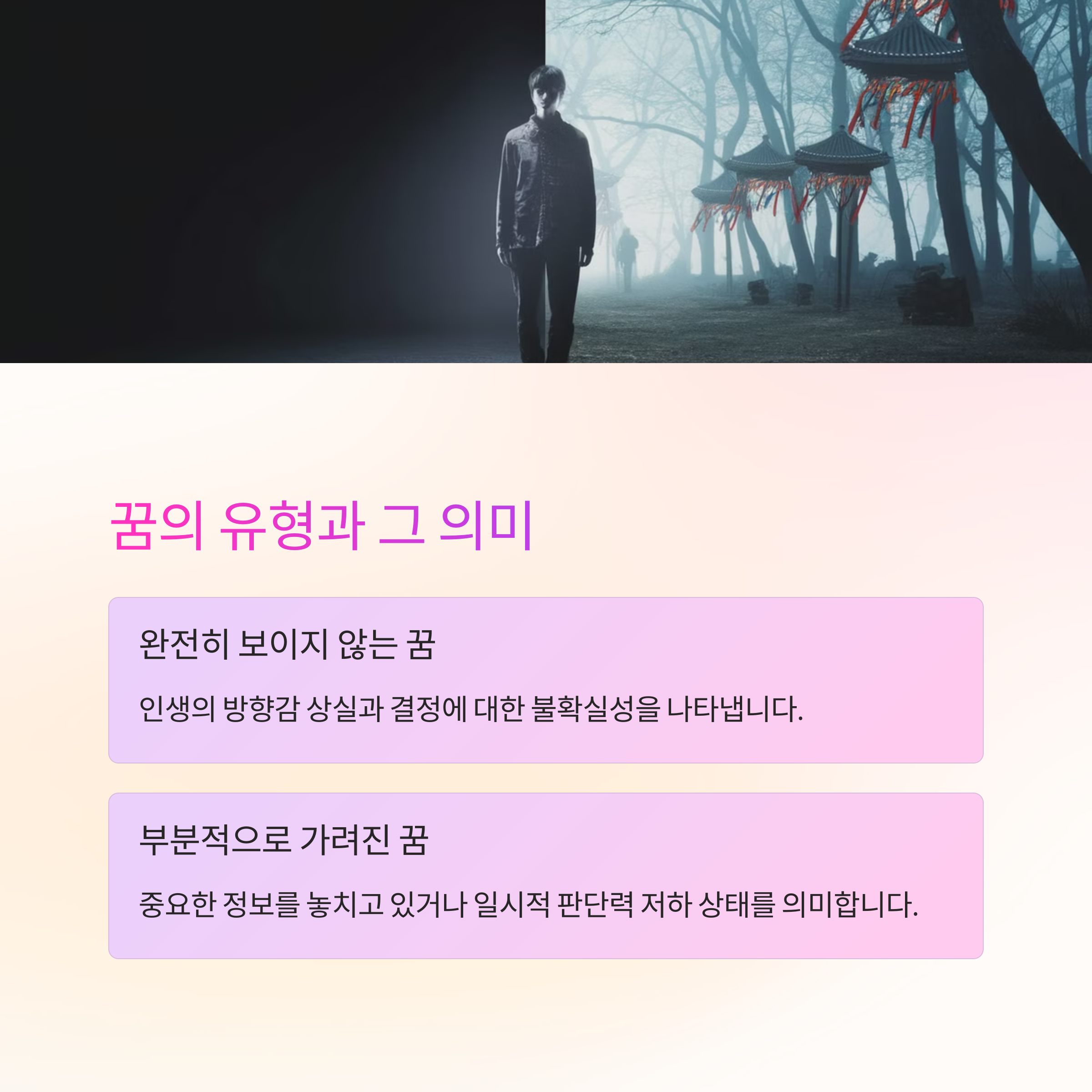 눈이 보이지 않는 꿈