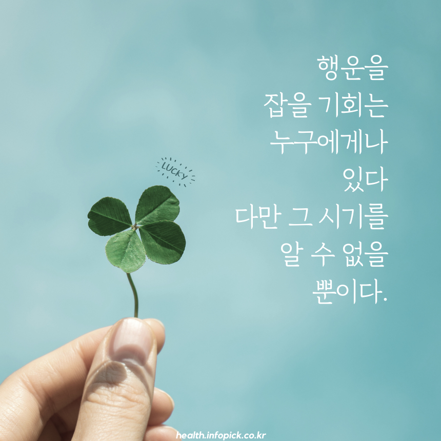 캘리그라피 짧고 좋은 글귀 명언 문구 모음 이미지