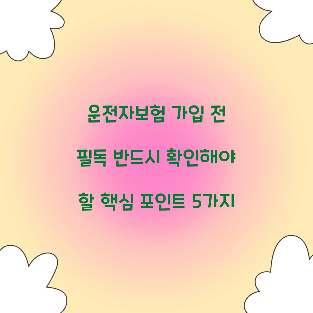 운전자보험 가입 전 필독