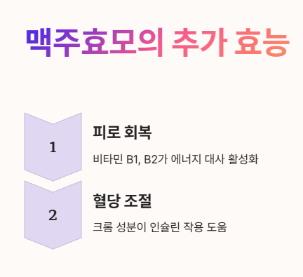 맥주효모의 추가 효능