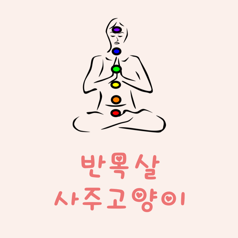 반목살이란