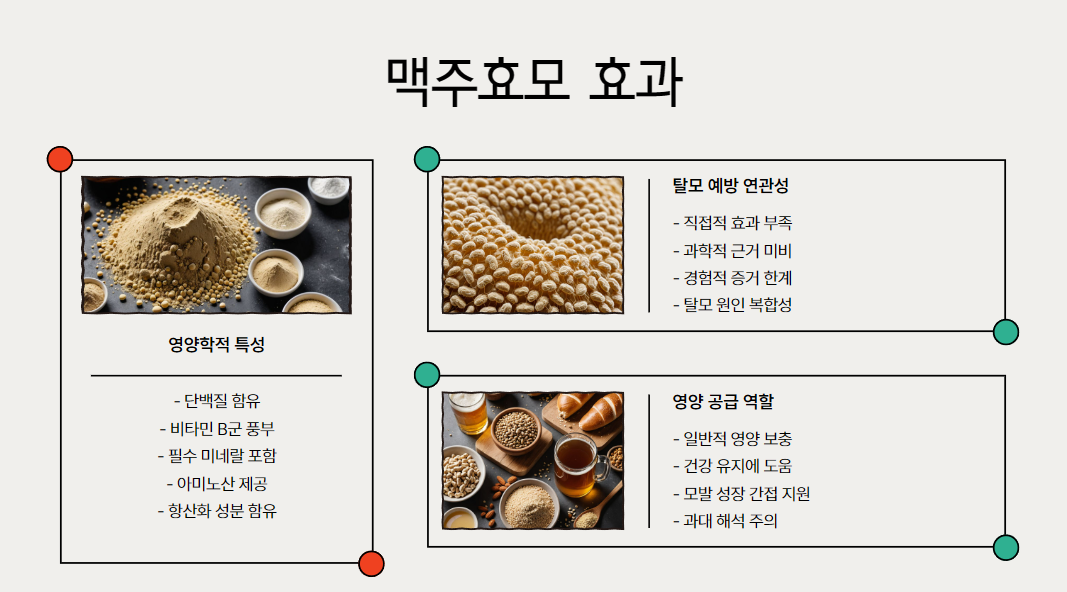 맥주효모 효과