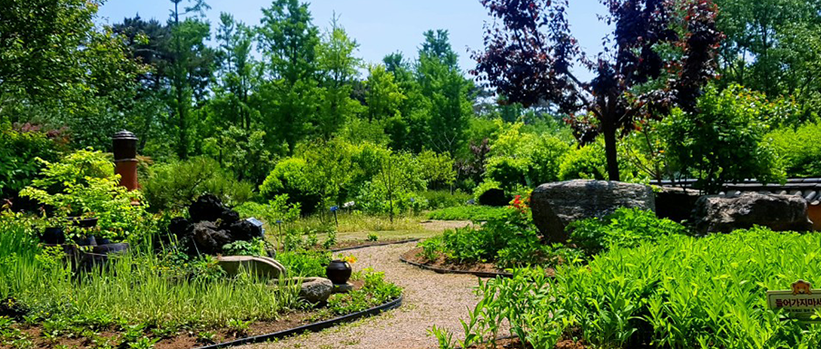 우리꽃식물원 약용원