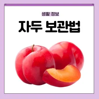 자두 보관법 수확시기 효능 자두청 만들기_7