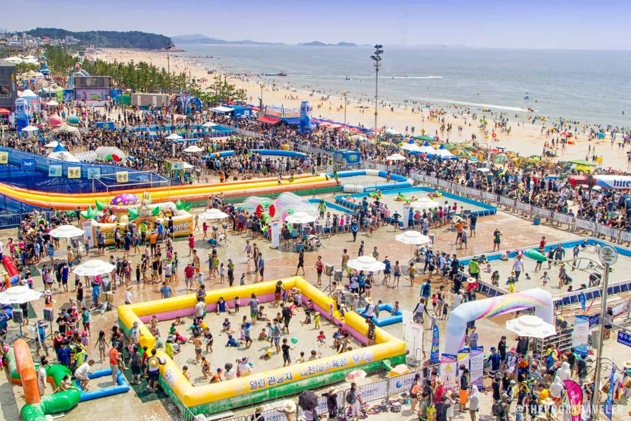 대천해수욕장과 보령 머드축제의 만남