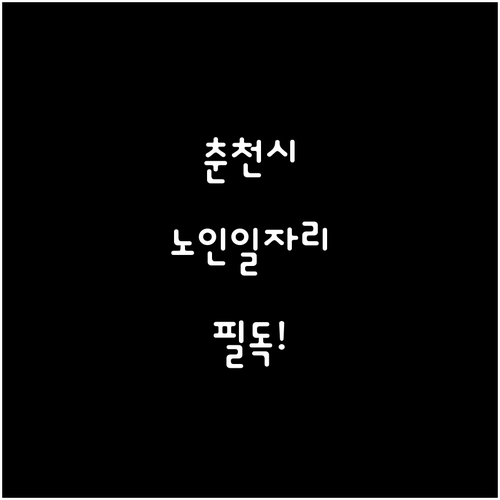 춘천시 시니어클럽 일자리 유형별 특징..
