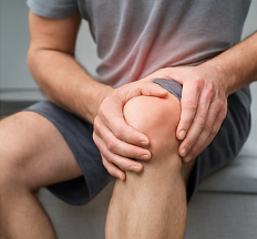 철갑상어 콘드로이친