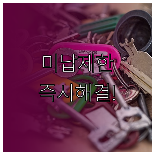 통신 요금 미납 연체 후 소액결제 정..