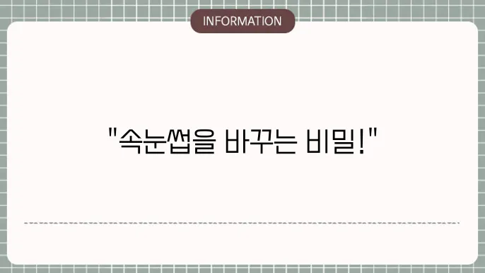 속눈썹 영양제 추천