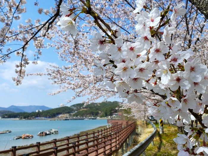 경남 고성 가볼만한 곳