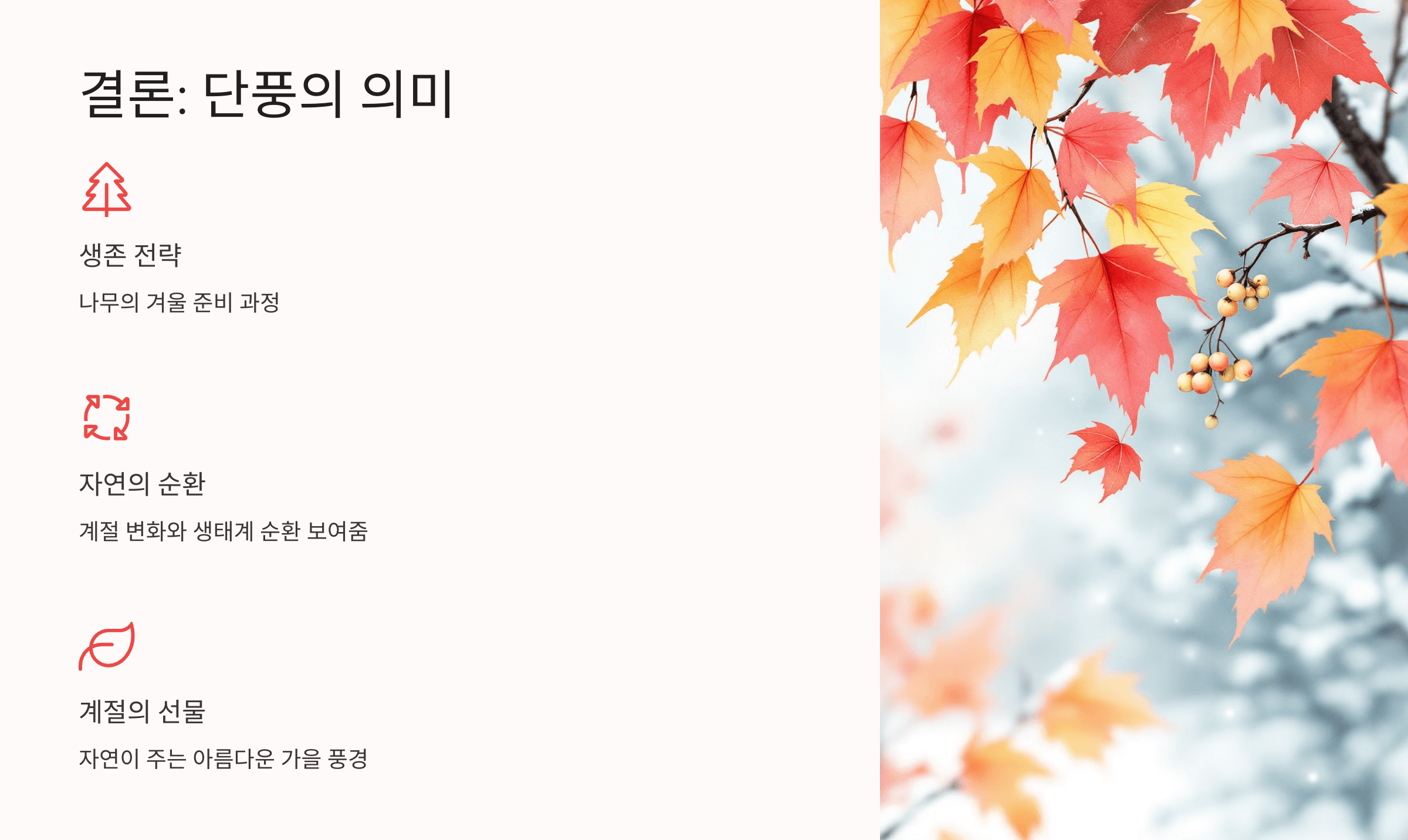 단풍 사진입니다.