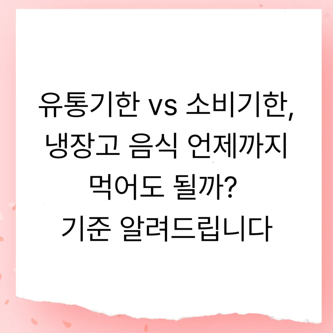유통기한 vs 소비기한, 냉장고 음식 언제까지 먹어도 될까? 기준 알려드립니다