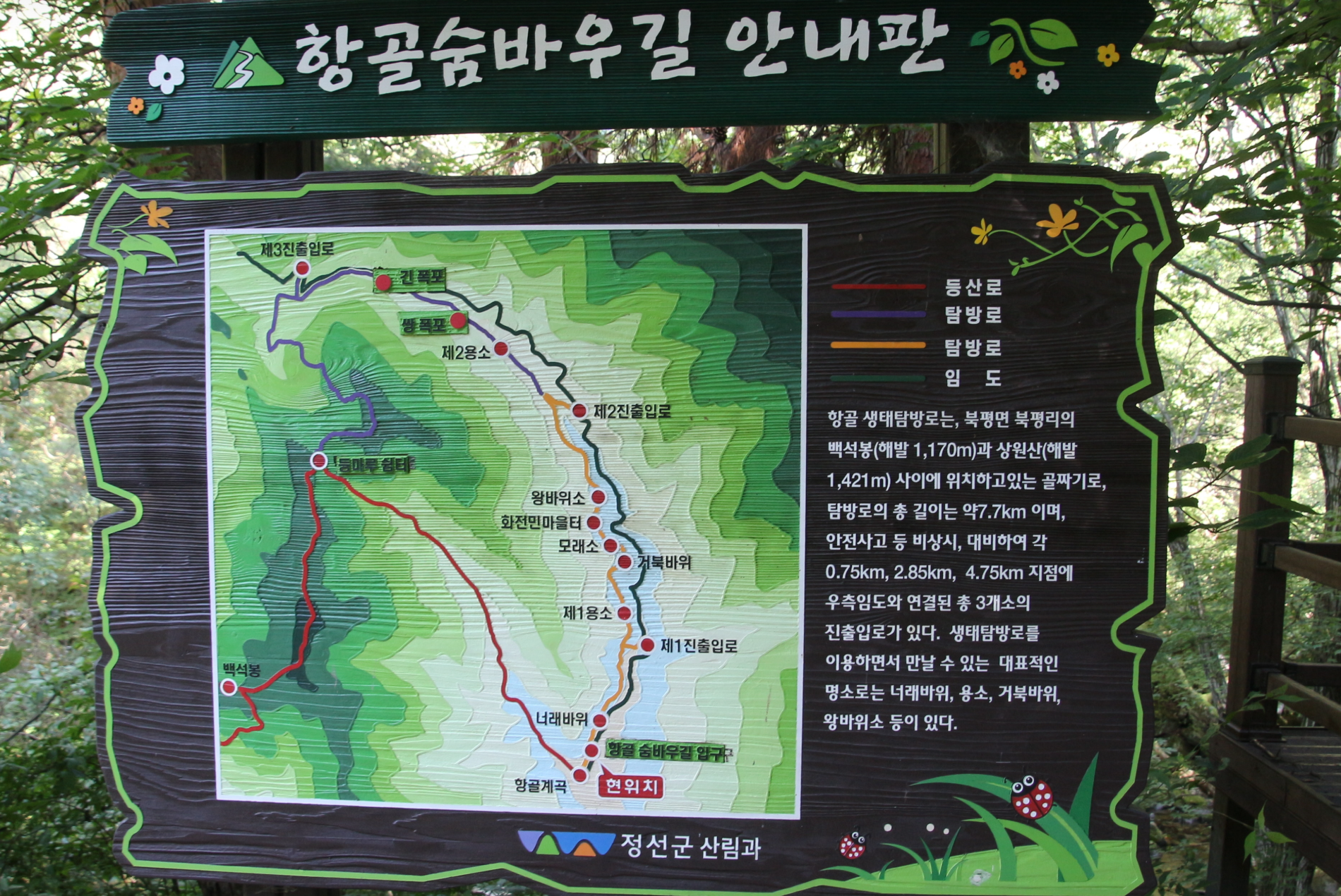 항골 숨바우길 입구 표지판 또는 초입 풍경