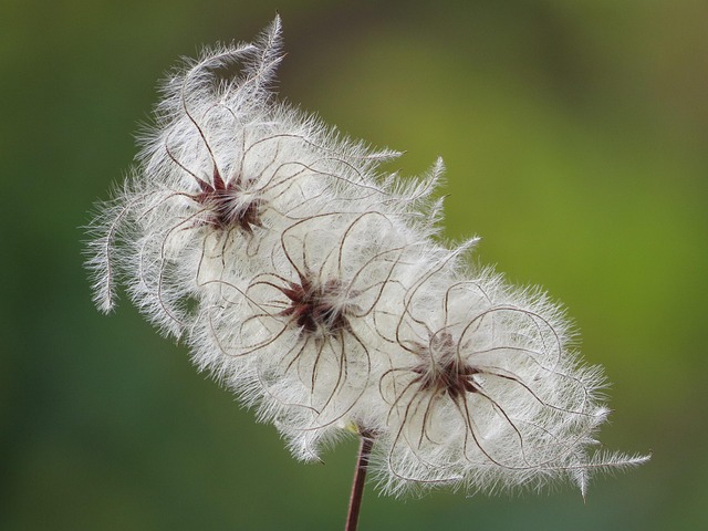 류마티스 관절염 초기증상 5