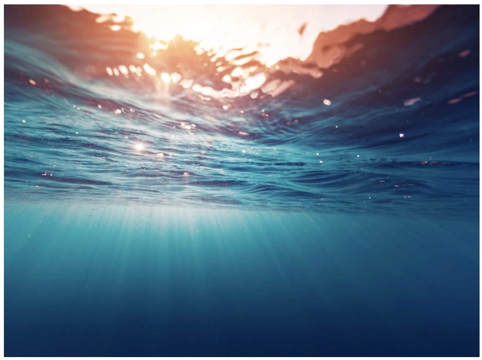 물속에서의 모습