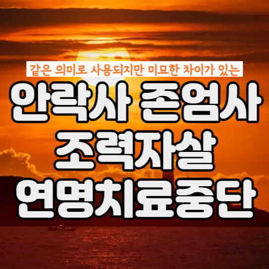 안락사-존엄사-조력자살-연명치료중단-썸네일