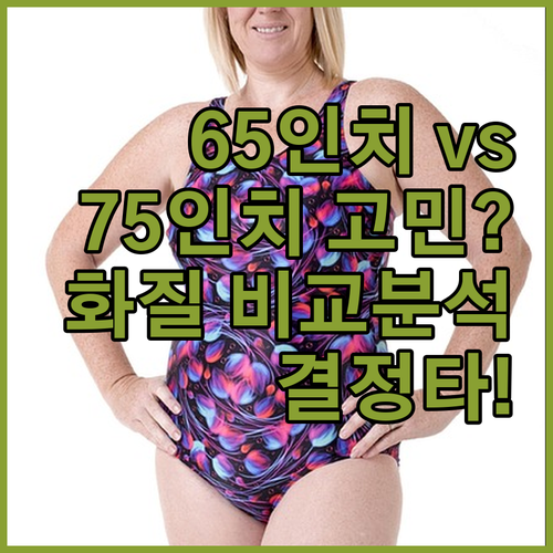 삼성 QLED TV 65인치, 75인..
