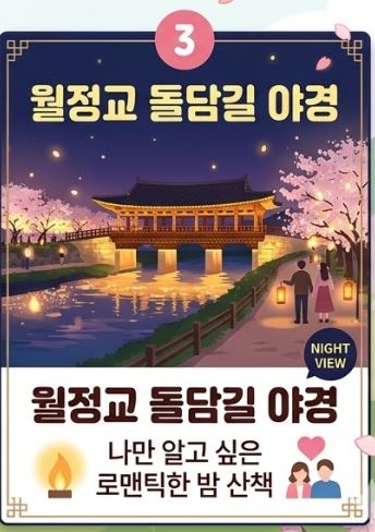 경주 벚꽃