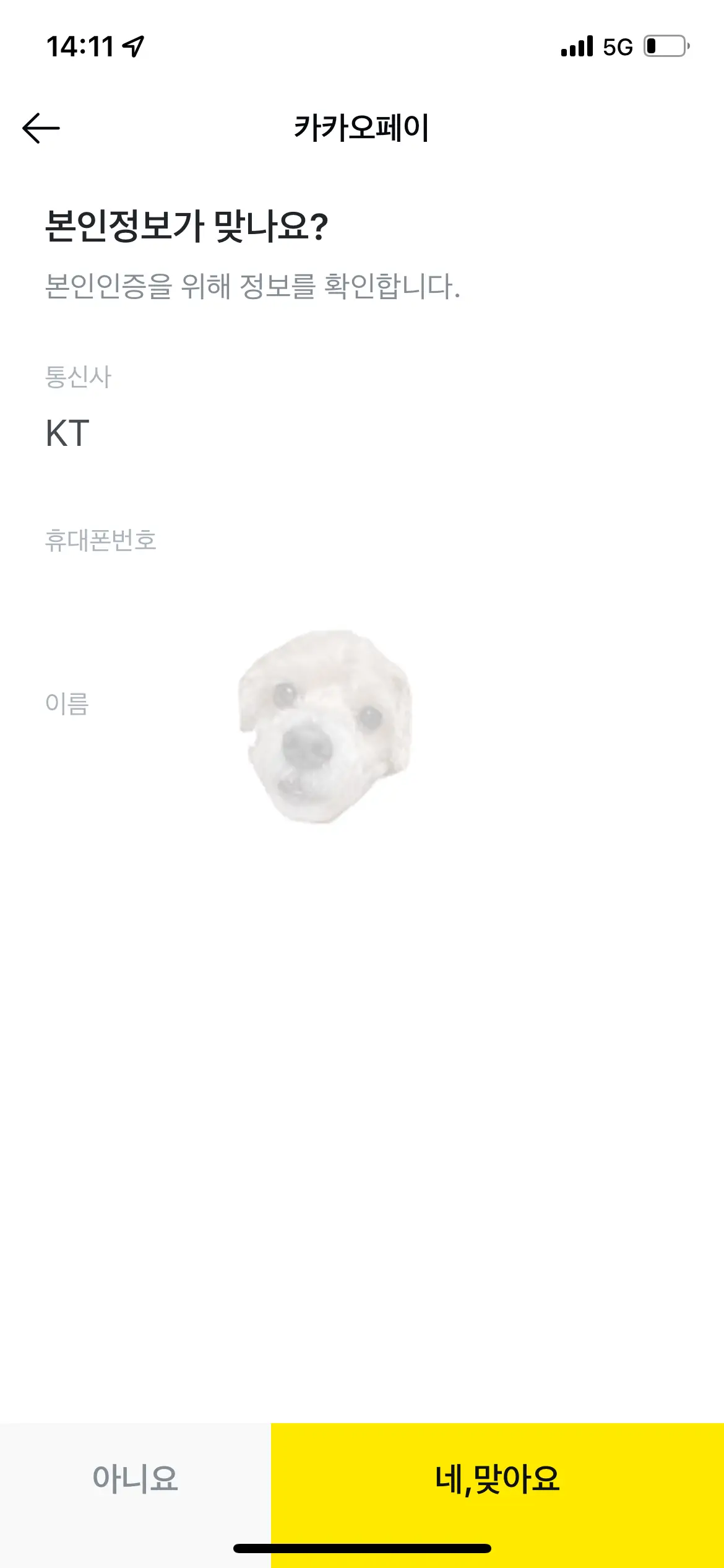 카카오페이 대출한도 조회 본인인증 절차 사진