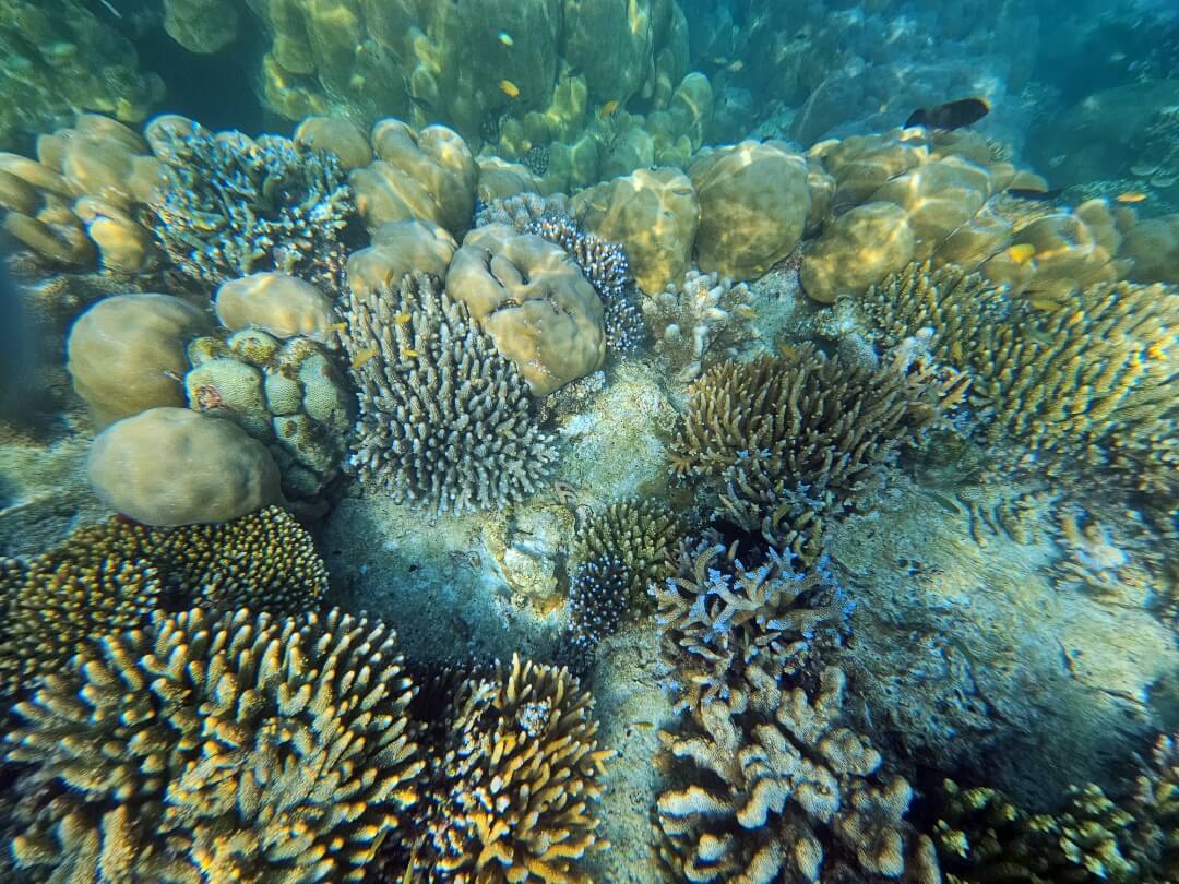 수린섬-일일투어