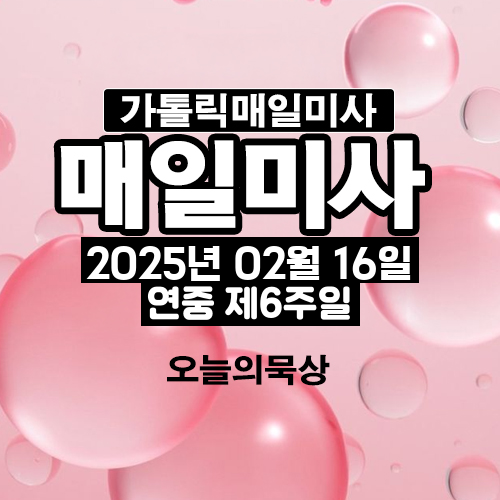 2025년 2월 16일 매일미사 연중 제6주일 오늘의 묵상