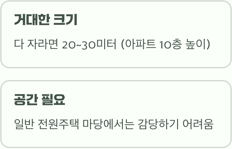 1. 정원의 왕자 아닌&amp;#44; 숲의 제왕