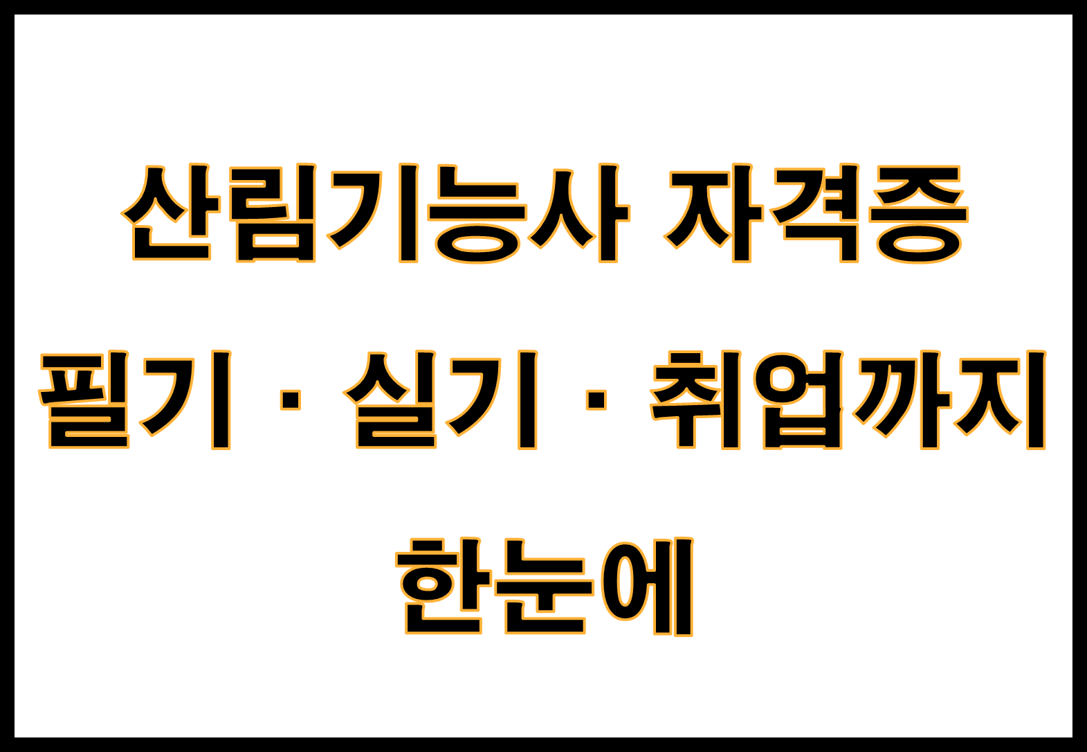 산림기능사 자격증 완전정복: 필기·실기·취업까지 한눈에