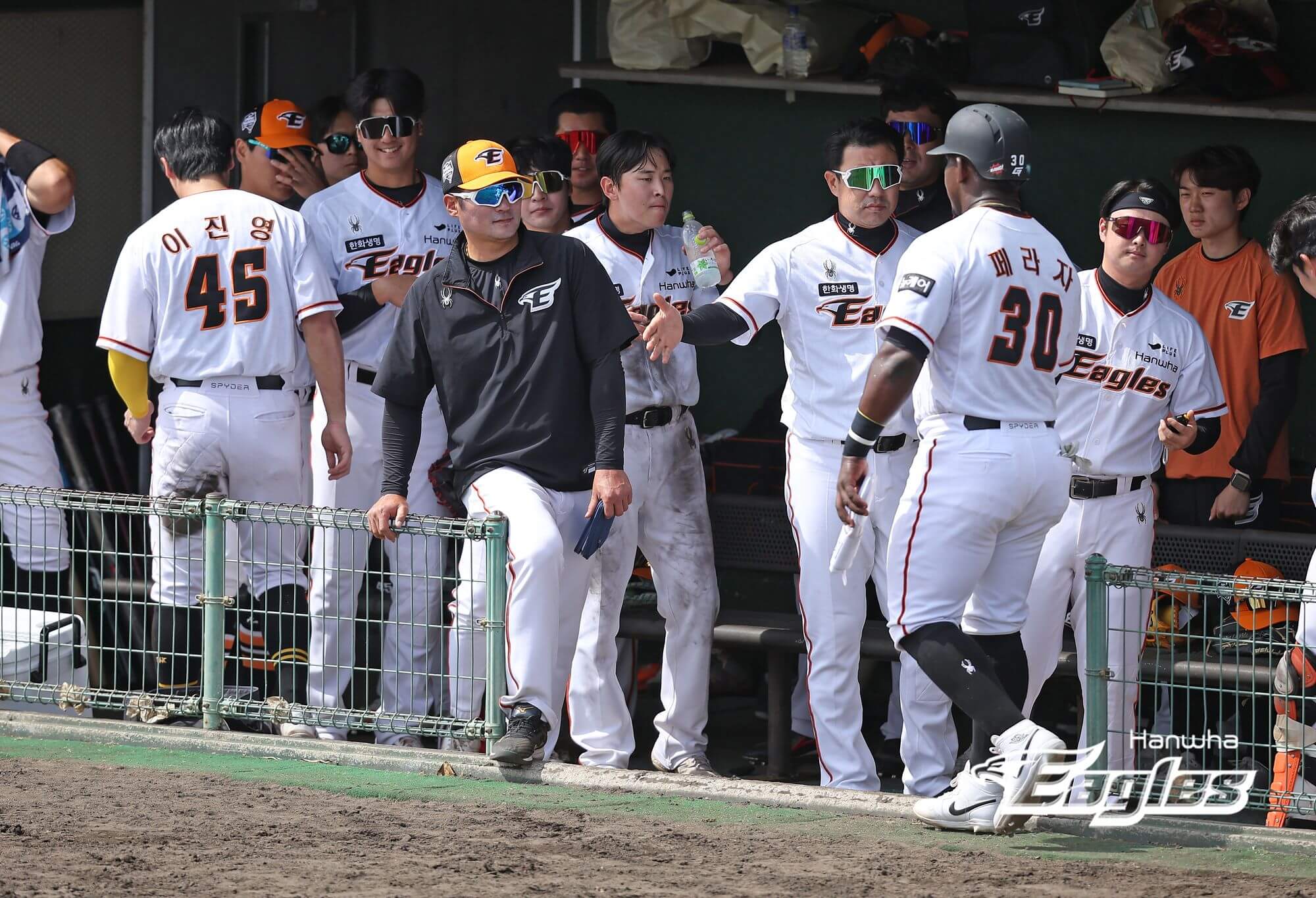 2024 한화 이글스 티켓 할인 예매&amp;#44; 무료 주차&amp;#44; 좌석 종류 및 특징&amp;#44; 경기일정 및 결과