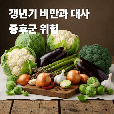 갱년기 비만과 대사증후군 위험|호르몬·심혈관·마음 관리 (2025년 최신)