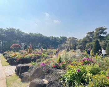 벽초지 수목원 가을꽃 국화축제_22